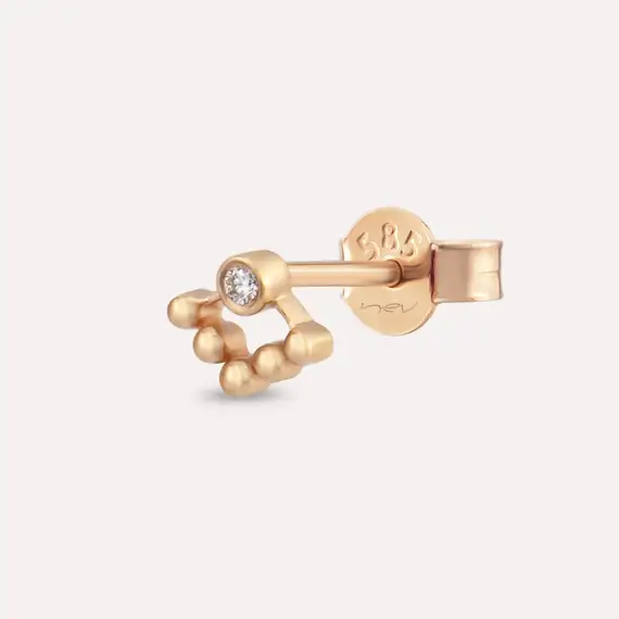 Rina Diamond Rose Gold Earring - 1